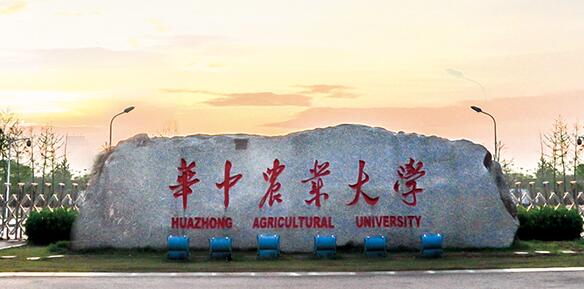 武漢實(shí)驗(yàn)室裝修